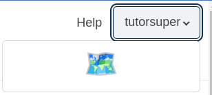 Screenshot of replaced with custom component